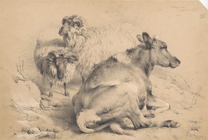 Krowa i dwa barany autorstwa Thomas Sidney Cooper