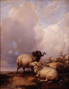 Owce w krajobrazie autorstwa Thomas Sidney Cooper