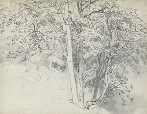 Исследование Treespolish autorstwa Thomas Stothard