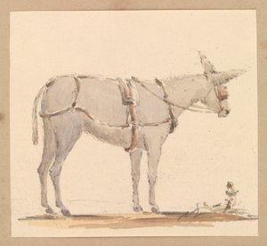 Studium osła z uzdą i uprzężą, ok. 1820 (ołówek z brązowym i szarym praniem na papierze) autorstwa Thomas Streatfeild