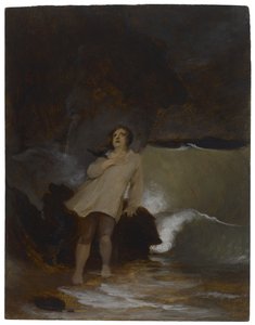 Wrak statku Robinson Crusoe, ok. 1856 r.