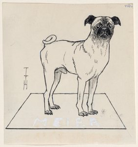 Mopy Meier autorstwa Thomas Theodor Heine