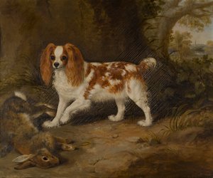 Spaniel z martwym zającem, ok. 1822-74 (olej na płótnie) autorstwa Thomas W. Bretland