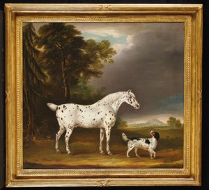 Appaloosa Koń i spaniel, 1807