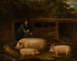 Harry Green, Pigman, ze swoimi świniami w chlewni, ok. 1794-1843 (olej na płótnie)