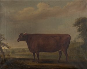 Czerwone jałówki devon w pejzażu, ok. 1812 (olej na płótnie)