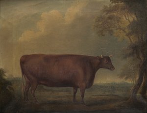 Czerwone jałówki devon w pejzażu, ok. 1812 (olej na płótnie)