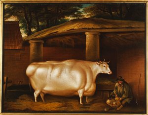 Biała jałówka, która podróżowała, z mężczyzną krojącym rzepę na stajni, 1811 autorstwa Thomas Weaver