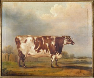 Wildair, ośmioletnia jałówka w krajobrazie rzecznym, 1827 autorstwa Thomas Weaver
