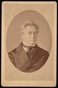 Portret Józefa Henryka 1797-1878, kwiecień 1873.