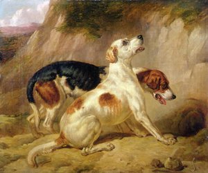 Fox Hounds, Fox odszedł na ziemię