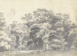 Drzewa na brzegu rzeki autorstwa Thomas Wyck