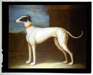 Ulubiony chart autorstwa Thomas of Pall Mall Butler