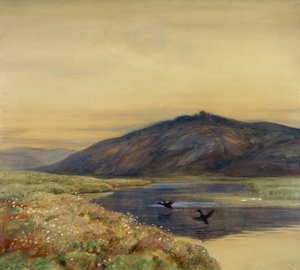 Krajobraz z ptakami autorstwa Thorolf Holmboe