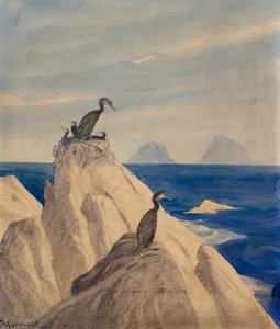 Głuptak (ołówek i akwarela na papierze) autorstwa Thorolf Holmboe