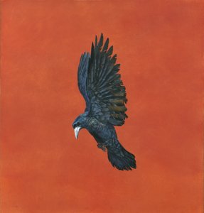 Shine-Red, (Akwarela i gwasz na papierze Arches 640gsm) 101,6 x 91,4 cm
