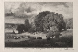 Jesienne dęby autorstwa Timothy Cole