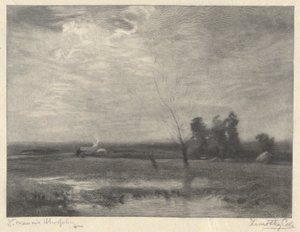 Krajobraz, popołudnie autorstwa Timothy Cole