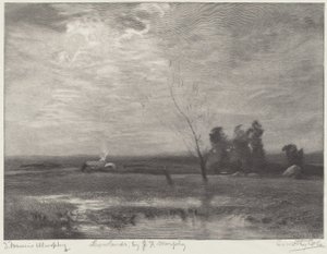 Niziny autorstwa Timothy Cole after John Francis Murphy