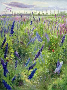 Delphiniums i wschodzące słońce autorstwa Timothy Easton