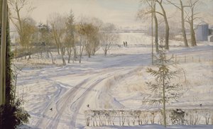 Morświny Poszukiwanie autorstwa Timothy Easton