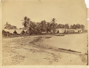 [Chaty, palmy i plaża, Itshumus w Darién (Panama)] autorstwa Timothy H. O