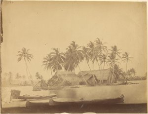 [Zatoka Limón, Przesmyk Darién (Panama)]. autorstwa Timothy H. OSullivan