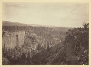 North Fork Cañon, Sierra Blanca Creek, Arizona autorstwa Timothy O