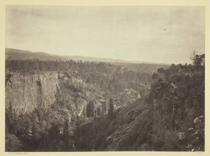 North Fork Cañon, Sierra Blanca Creek, Arizona autorstwa Timothy O