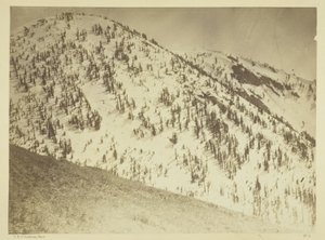 Snow Peaks, okręg górniczy Bull Run, Nevada autorstwa Timothy O