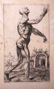 Badanie anatomiczne, Domenico Maria Bonavera (ur. 1640) (trawienie i sucha igła)