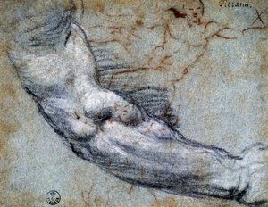 Studium ramienia, Tycjan (ok. 1488-1576), rysunek autorstwa Titian (c.1488 1576)