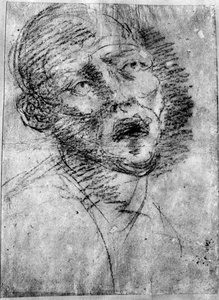 Głowa Maura, c1525, 1937 autorstwa Tiziano Vecelli