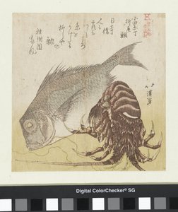 Labraks z Yanagiya w Odawarze Chô Odawara Chô Yanagiya tai (tytuł na obiekcie) Znane produkty Edo (tytuł serii) Edo meibutsu (tytuł serii na obiekcie) autorstwa Totoya Hokkei
