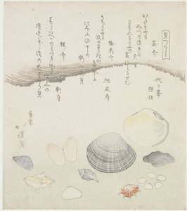 Vergeten schelp, pruimenbloesem schelp en kersen schelp Wasuregai, umenohanagai, sakuragai (title on object) Een serie van schelpen (series title) Kaitsukushi (series title on object)   1367703   pl       polish Successfully Translated  Original: Wijd land autorstwa Totoya Hokkei