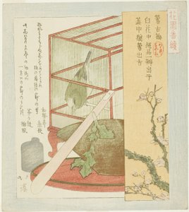 Pokrzewka w klatce, z serii „Seria A dla grupy Hanazono (Hanazono bantsuzuki)” autorstwa Totoya Hokkei