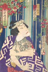 Portret wyobrażeniowy, Shuifu ← Uan of S Tage: Toryudai Mitate Suikoden Torodai - ac i r, zespół. . . , 1875.