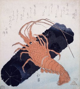 Langoustyna z Blokiem Węgla, ok.1830 (kolorowy drzeworyt) autorstwa Toyota Hokkei
