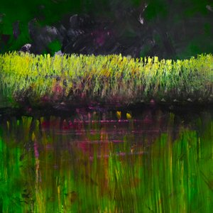 Marsh- Nocturne, 2017 (olej na panelu)