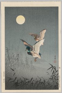 Tokio Widoki: Kaczki autorstwa Tsuchiya Kōitsu