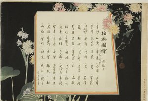 Index Page, druki .51-.100 (t.1), z serii "Obrazy bez występów (Nogaku Zue)" autorstwa Tsukioka Kogyo