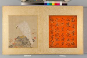 Album z jastrzębiami i kaligrafią autorstwa Tsunenobu Kano