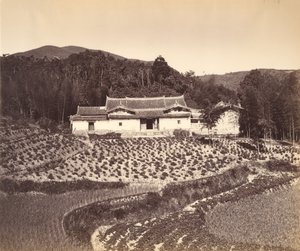 Teafield & Josshouse w Peling, ca. 1869. autorstwa Tung Hing.