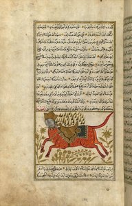 Buraq, koń proroka Mahometa (tusz i pigmenty na europejskim papierze czerpanym)
