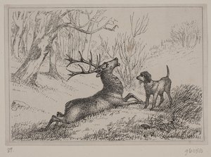 Ilustracja do wiersza „Hjorten” Gotfreda Rode autorstwa Ubekendt