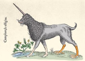 Przedstawienie kampuru, potwora z Wysp Moluckich Grawer Ulisse Aldrovandi (1522-1605), „Monstrorum Historiae”, Bolonia 1642