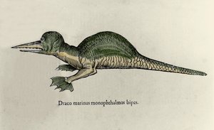 Reprezentacja morskiego smoka. Tablica z rękopisem Historii Naturalnej autorstwa Ulisse Aldrovandi (1522-1605) o potworach