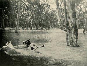 Bankier, 1901. autorstwa Unbekannt