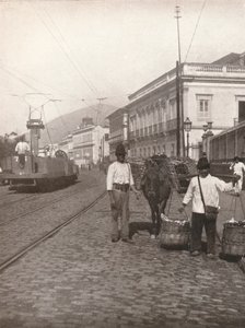 Scena uliczna Botafogo, Rio, 1914 autorstwa Unbekannt