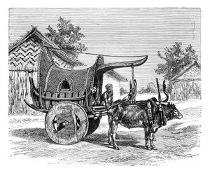 Wóz birmański, Birma Myanmar, 1895 autorstwa Unbekannt